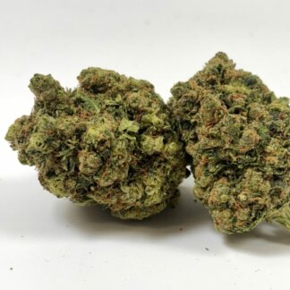 White Widow cryogénisée - indoor