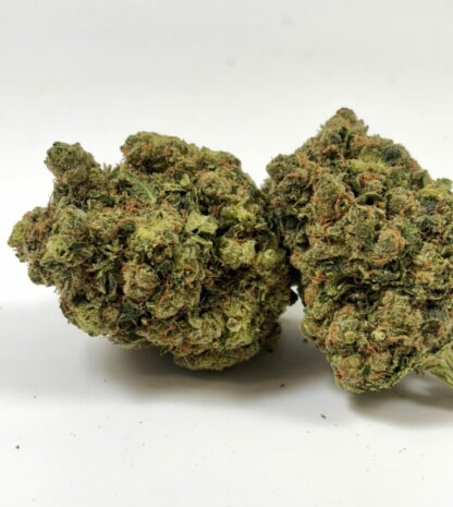 White Widow cryogénisée - indoor