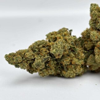 White Lemon - indoor