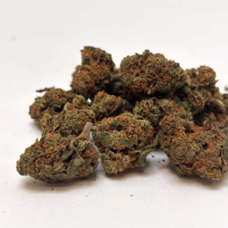 Cherry Pie small buds - glasshouse
