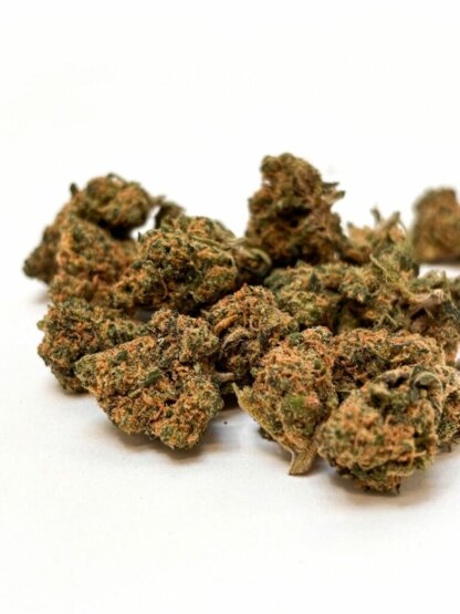 Bruce Banner - indoor
