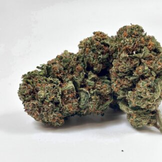 Cherry Pie - indoor