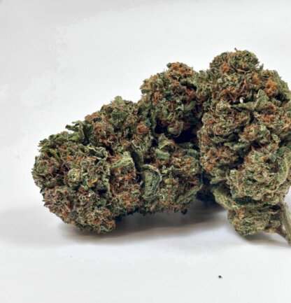 Cherry Pie - indoor