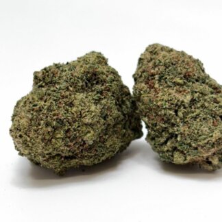 Ice Cream Cake - Cali hydro indoor