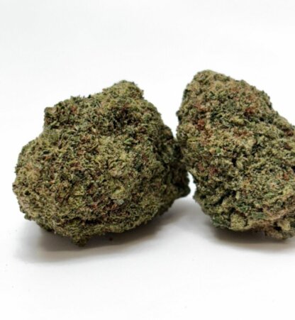 Ice Cream Cake - Cali hydro indoor