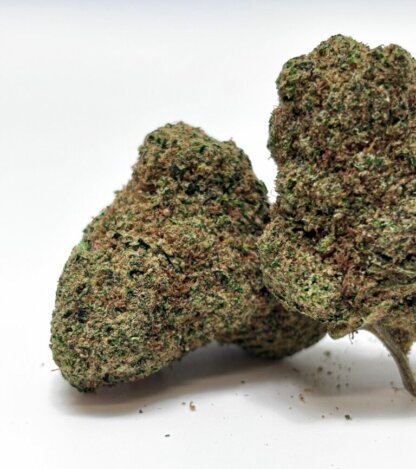 MAC - Cali hydro indoor