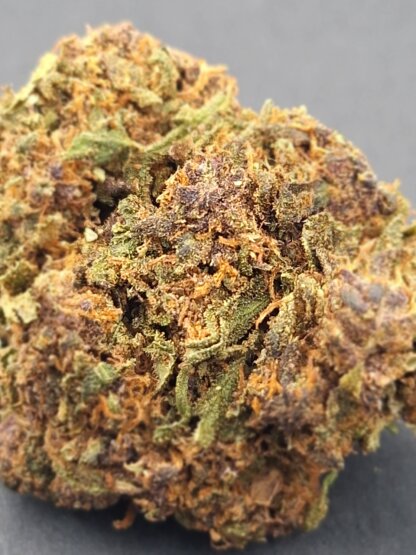 Purple Haze - glasshouse – Image 2