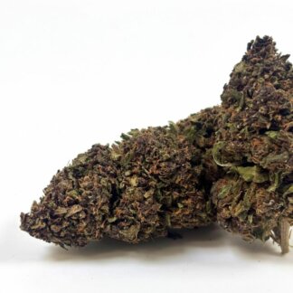 Purple Haze - glasshouse